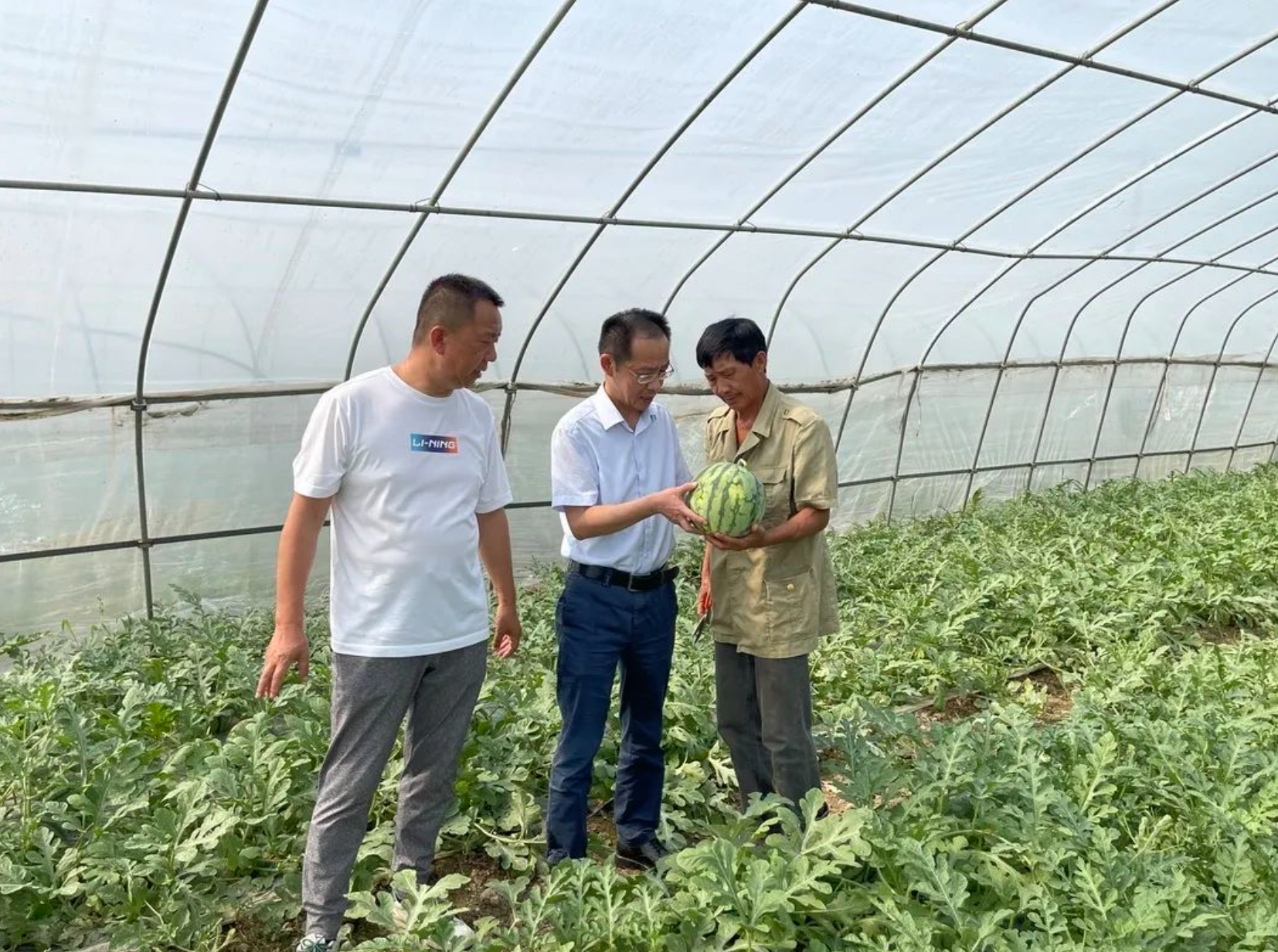 西瓜情緣，“甜蜜”幫扶助農增收