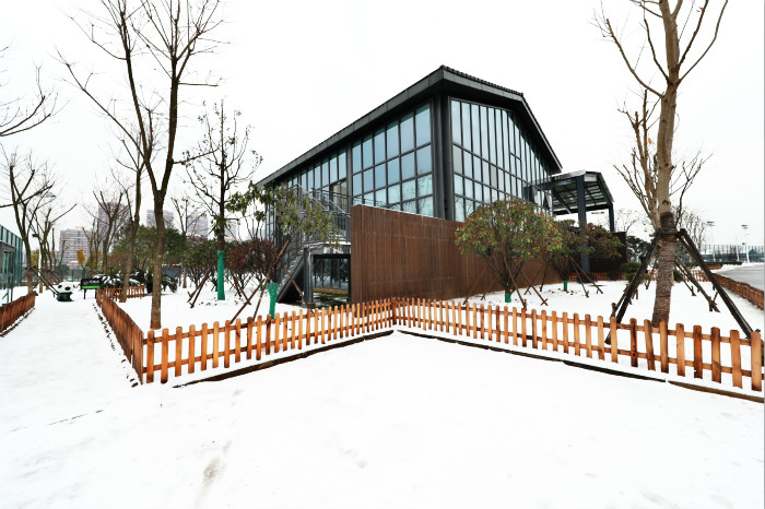 一場雪，體育中心美得不要不要的 但最美的風景還是他們(圖1)