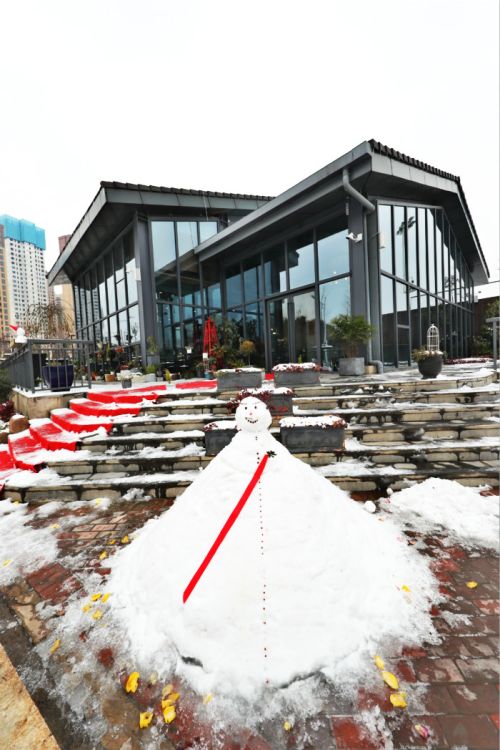 一場雪，體育中心美得不要不要的 但最美的風景還是他們(圖11)