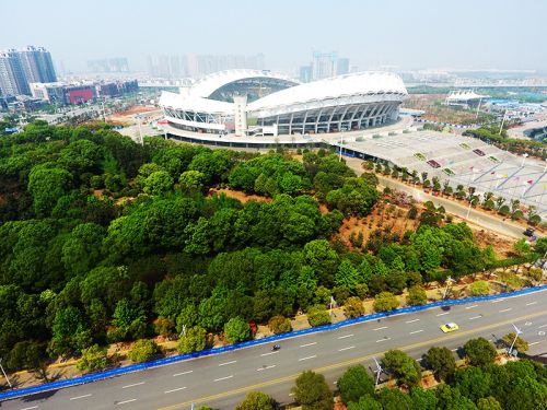 軍運(yùn)會綠化