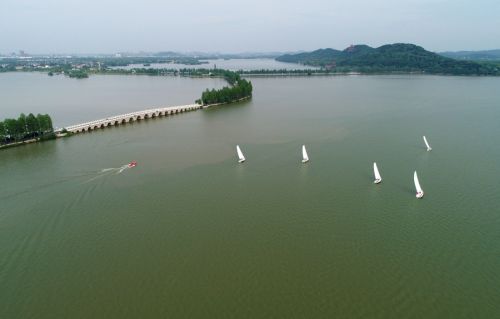 跳水世界杯圓滿落幕 中國(guó)隊(duì)包攬全部11金(圖15) 跳水世界杯圓滿落幕 中國(guó)隊(duì)包攬全部11金(圖15)