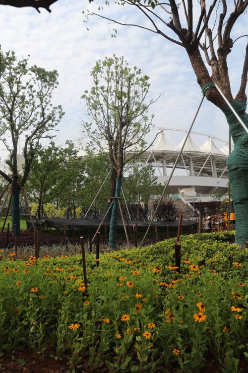 彭緒寧來武漢體育中心調(diào)研軍運(yùn)會建設(shè)(圖4) 彭緒寧來武漢體育中心調(diào)研軍運(yùn)會建設(shè)(圖4)