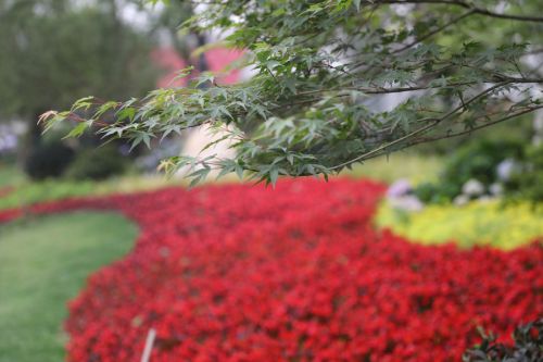 武漢體育中心的顏值(圖2) 武漢體育中心的顏值(圖2)