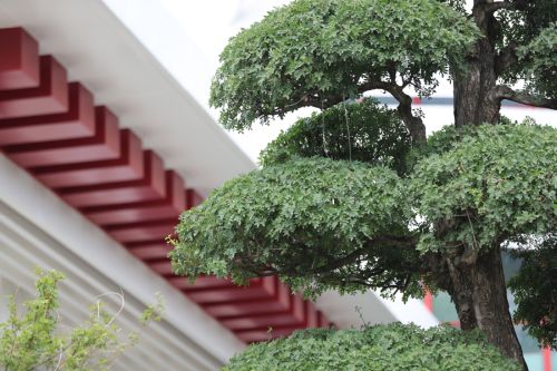 武漢體育中心的顏值(圖6) 武漢體育中心的顏值(圖6)