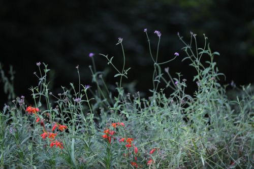 武漢體育中心的顏值(圖8) 武漢體育中心的顏值(圖8)