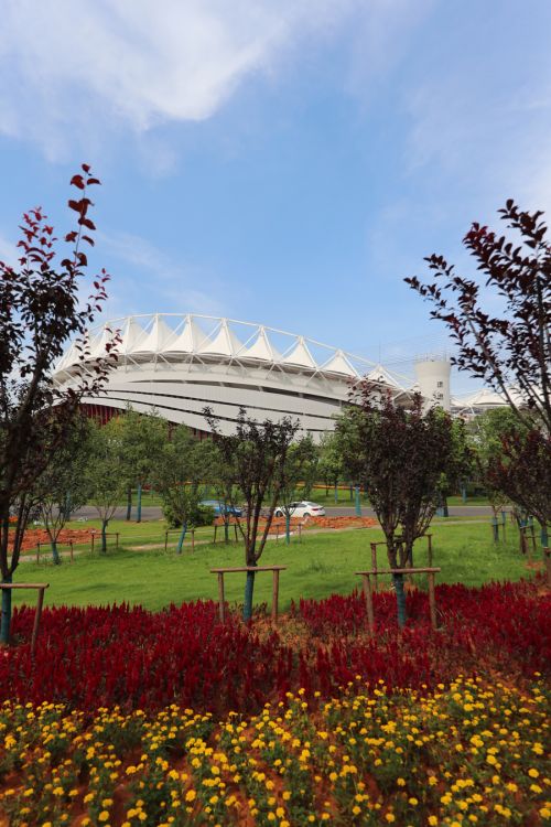 武漢體育中心的顏值(圖13) 武漢體育中心的顏值(圖13)