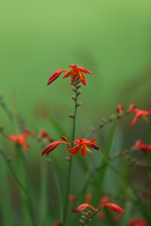 武漢體育中心的顏值(圖10) 武漢體育中心的顏值(圖10)