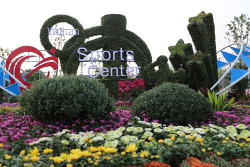 軍運會倒計時一周年，你準(zhǔn)備好了嗎？武漢體育中心信心滿滿全力籌備進(jìn)入沖刺期(圖8)