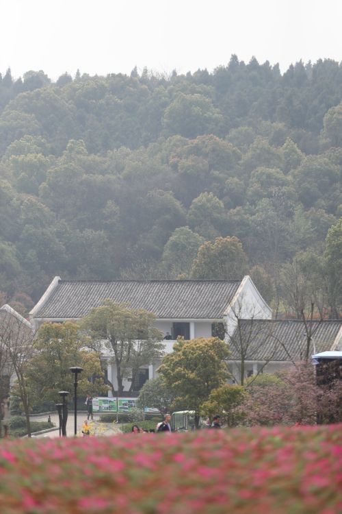 “與軍運同行”徒步活動上演“快閃” 武漢體育中心作為企業(yè)代表隊第一方陣登場(圖3) “與軍運同行”徒步活動上演“快閃” 武漢體育中心作為企業(yè)代表隊第一方陣登場(圖3)