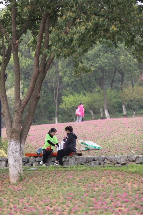 “與軍運同行”徒步活動上演“快閃” 武漢體育中心作為企業(yè)代表隊第一方陣登場(圖6) “與軍運同行”徒步活動上演“快閃” 武漢體育中心作為企業(yè)代表隊第一方陣登場(圖6)