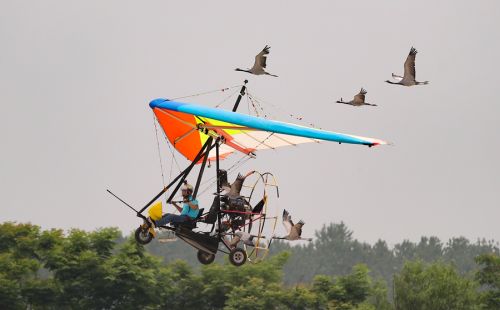 2019國際航聯(lián)世界飛行者大會(huì)在我區(qū)開幕 頂尖飛行員翱翔“天空之城”(圖13) 2019國際航聯(lián)世界飛行者大會(huì)在我區(qū)開幕 頂尖飛行員翱翔“天空之城”(圖13)