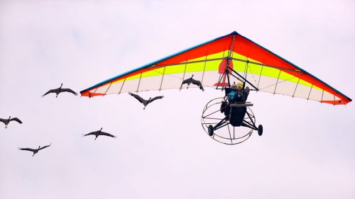 2019國際航聯(lián)世界飛行者大會(huì)在我區(qū)開幕 頂尖飛行員翱翔“天空之城”(圖14) 2019國際航聯(lián)世界飛行者大會(huì)在我區(qū)開幕 頂尖飛行員翱翔“天空之城”(圖14)