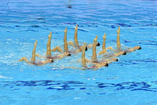 2019年全國(guó)花樣游泳錦標(biāo)賽11月7日武漢體育中心驚艷開賽(圖3)