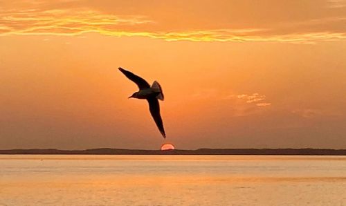 武漢體育中心組織開(kāi)展秋季戶外拓展活動(dòng)(圖8) 武漢體育中心組織開(kāi)展秋季戶外拓展活動(dòng)(圖8)